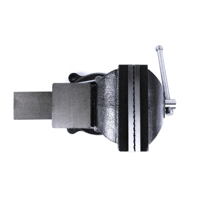 Тиски слесарные поворотные Alasin с наковальней, ширина 125 мм-6