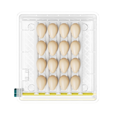 Инкубатор автоматический EggNest, 16 яиц-1