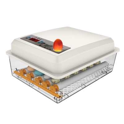 Инкубатор автоматический EggNest, 16 яиц-3